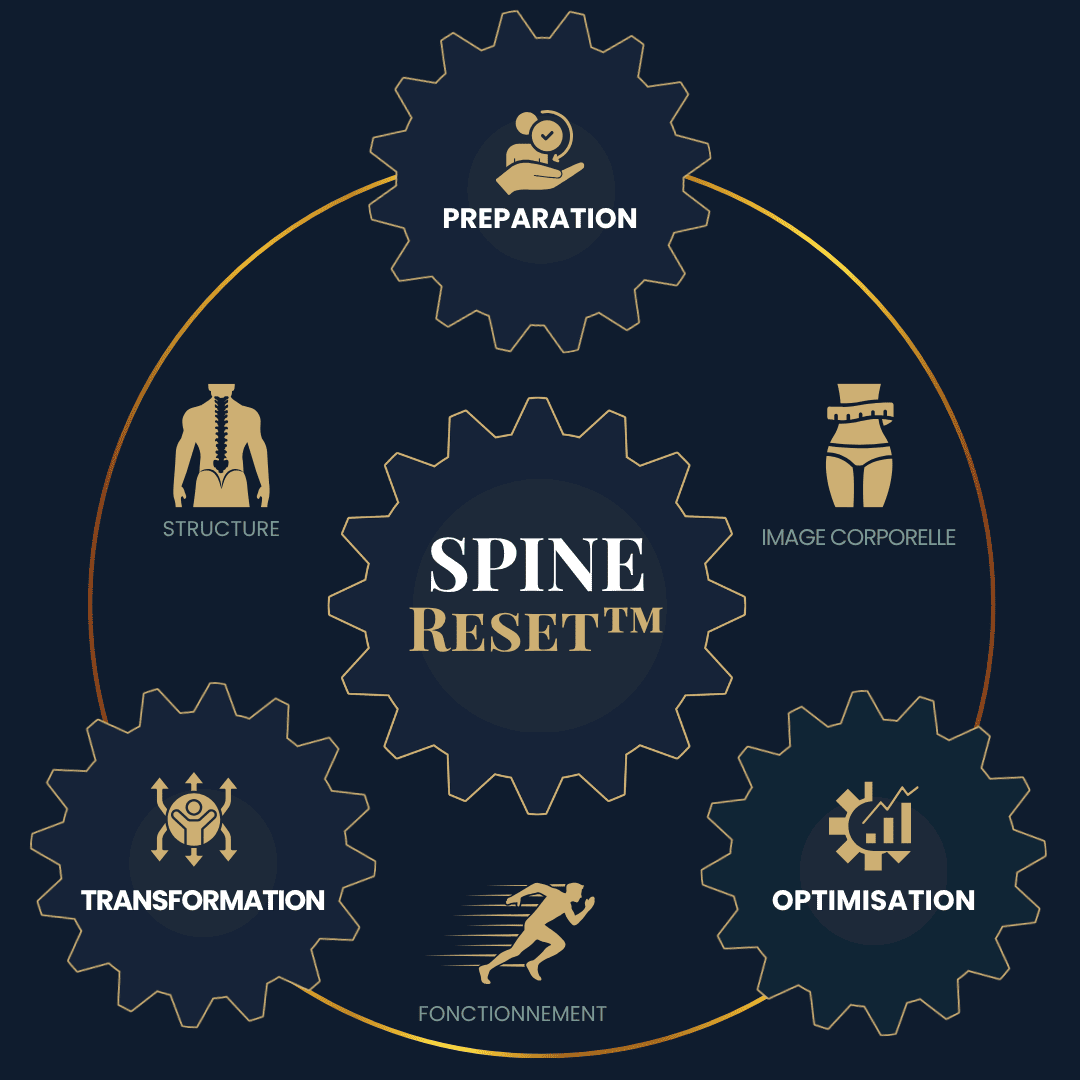 Schéma de la méthode SPINE Reset pour retrouver durablement sa meilleure forme