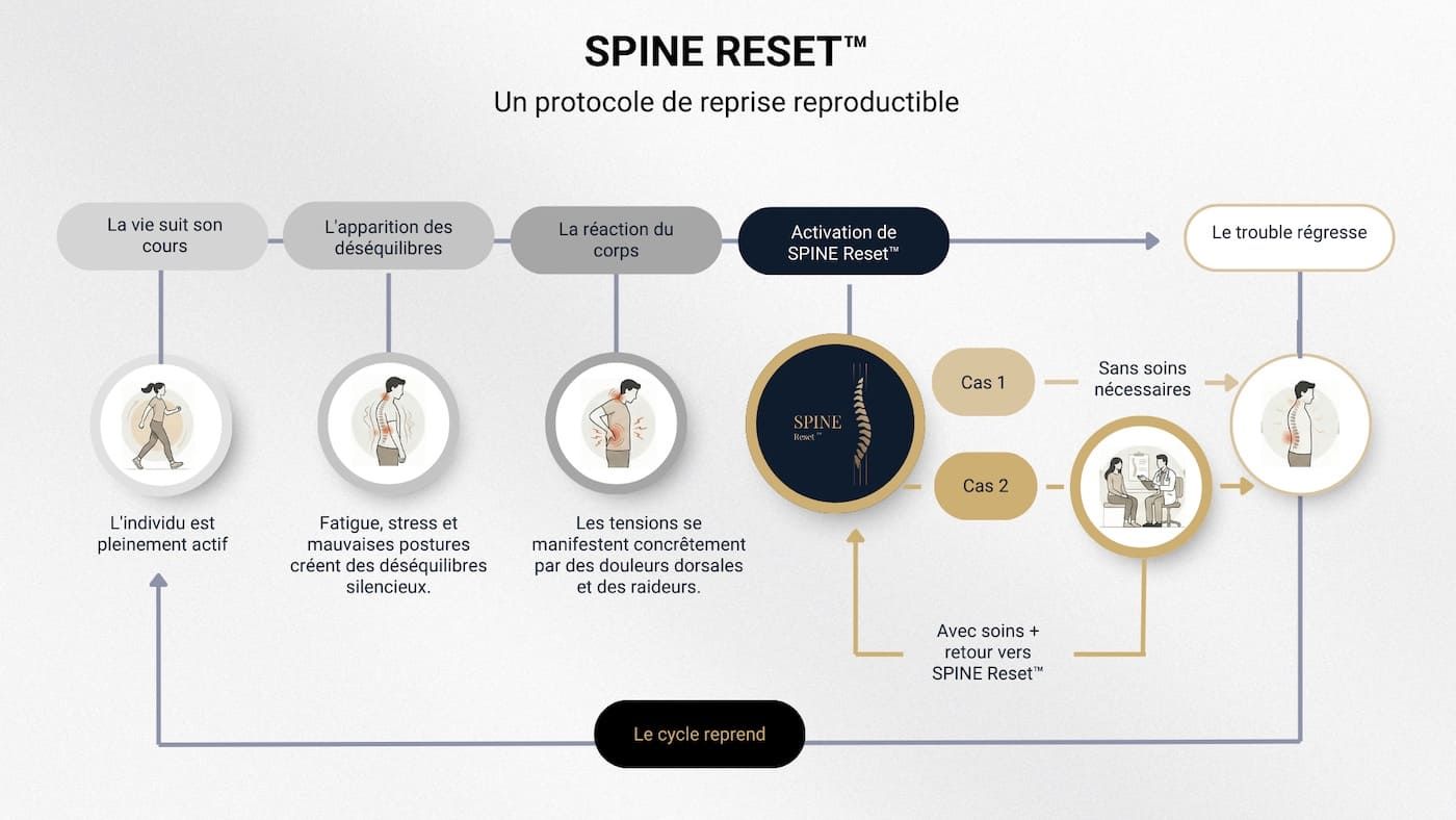 Schéma du cycle SPINE Reset montrant la reprise des déséquilibres corporels, l’activation de la méthode, les deux issues possibles avec ou sans parcours de soin, puis la reprise du cycle